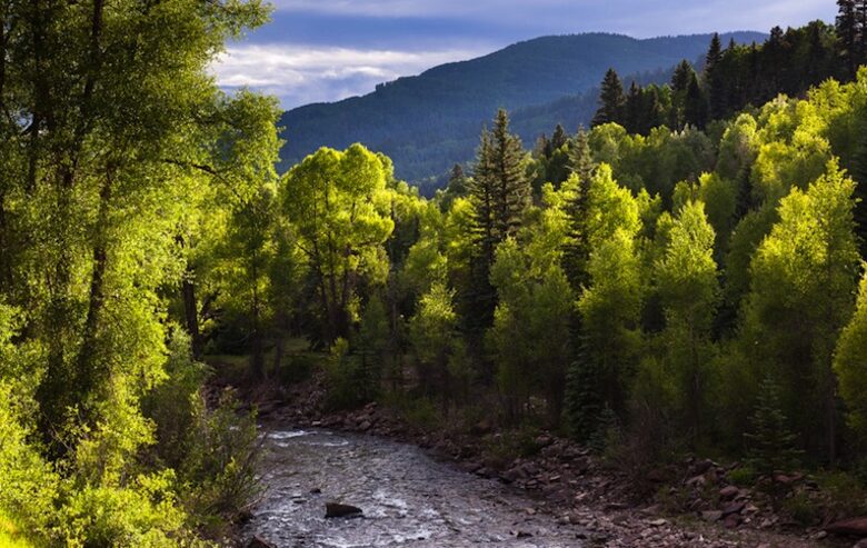 Element 52 - 4 Bedroom Residence - Telluride, Colorado