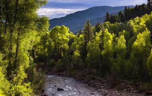 Element 52 - 3 Bedroom Residence - Telluride, Colorado