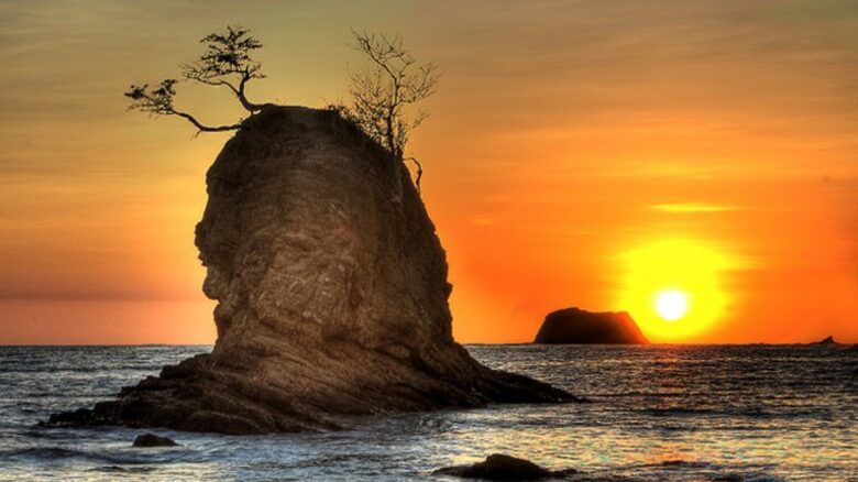 Luxury Ocean View Villa with 5 Star Personalized Service - Playa Samara, Costa Rica