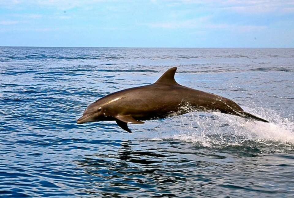 Luxury Ocean View Villa with 5 Star Personalized Service - Playa Samara, Costa Rica