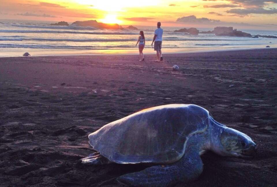 Luxury Ocean View Villa with 5 Star Personalized Service - Playa Samara, Costa Rica