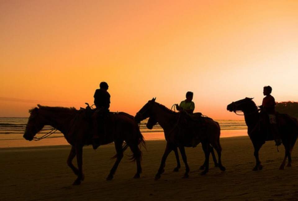 Luxury Ocean View Villa with 5 Star Personalized Service - Playa Samara, Costa Rica