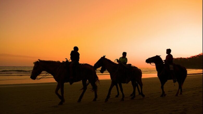 Luxury Ocean View Villa with 5 Star Personalized Service - Playa Samara, Costa Rica