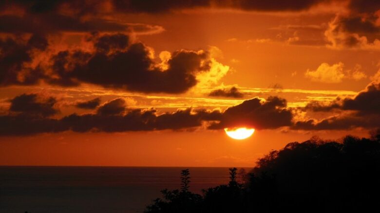 Luxury Ocean View Villa with 5 Star Personalized Service - Playa Samara, Costa Rica