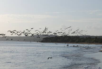 Villa Pacifica - Pedasi, Panama