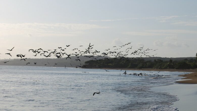 Villa Pacifica - Pedasi, Panama