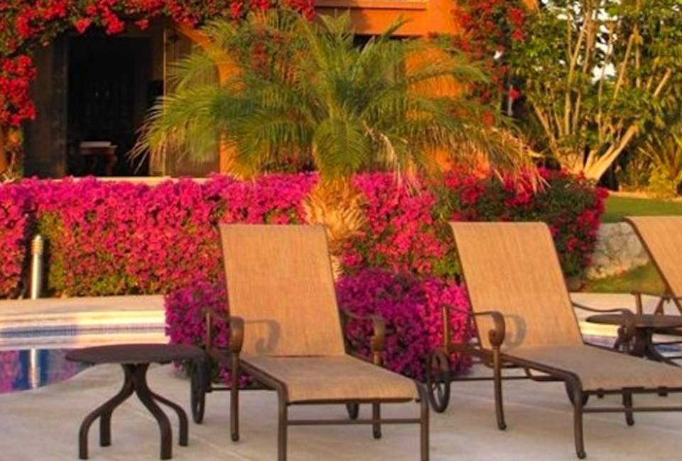 Diamantes De Mar - Los Cabos, Mexico