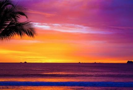 The Palms at Playa Flamingo - Playa Flamingo, Costa Rica