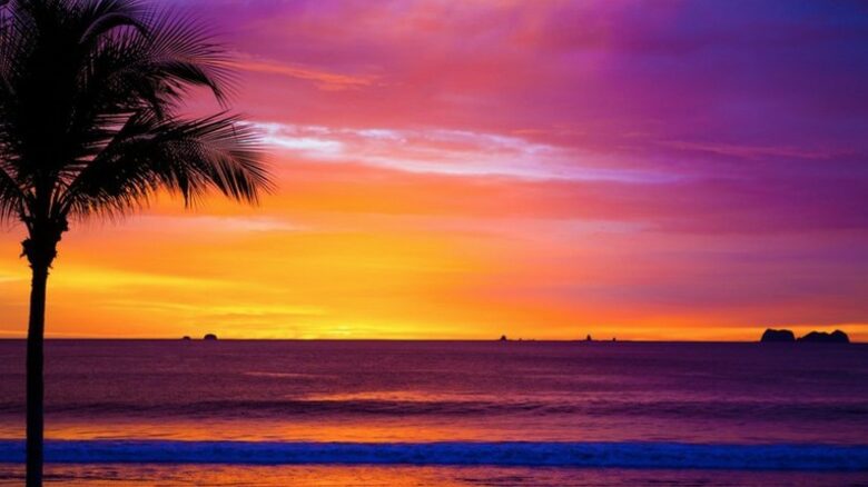 The Palms at Playa Flamingo - Playa Flamingo, Costa Rica