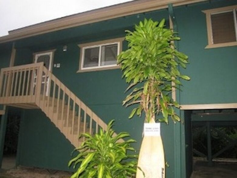 Hale Manoa, Tunnels Beach, Kauai, Hawaii - Haena, Kauai, Hawaii