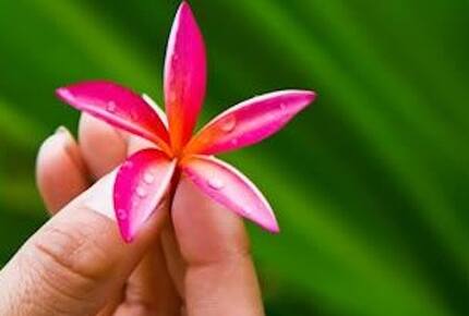 Hale Manoa, Tunnels Beach, Kauai, Hawaii - Haena, Kauai, Hawaii