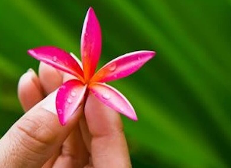 Hale Manoa, Tunnels Beach, Kauai, Hawaii - Haena, Kauai, Hawaii