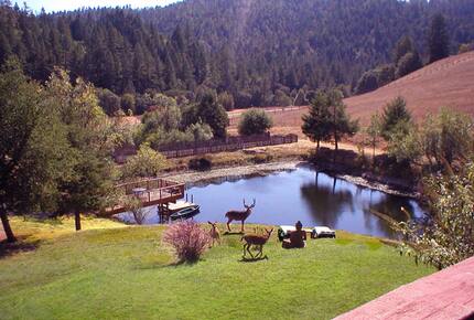 Shambhala Ranch - Heart of Mendocino County, California
