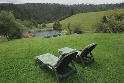 Shambhala Ranch - Heart of Mendocino County, California