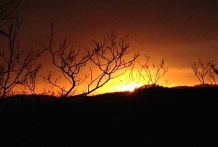 Belle Vue at Wintergreen - Wintergreen, Virginia