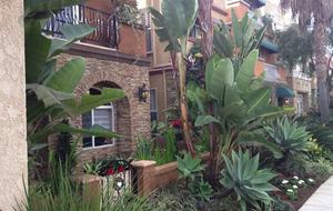 Oceanside California Luxury Villa - Oceanside, California