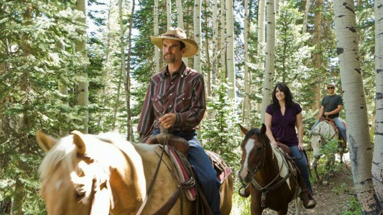 4 Bedroom Residence at The Deer Valley Club - Park City, Utah