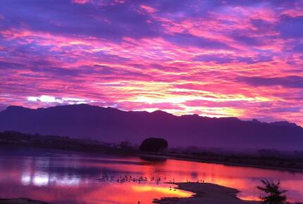 Cape Winelands Villa - Paarl, South Africa