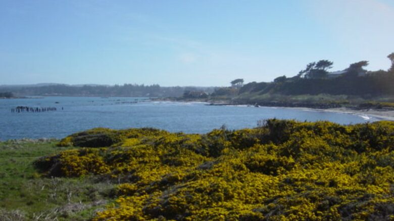 Keeper of the Light - Bandon, Oregon