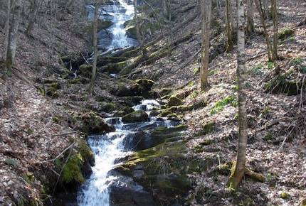 Balsam Mountain Preserve - Sylva, North Carolina