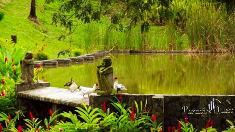 Quebradada Del Mar Estate - Montezuma/Delicias, Costa Rica