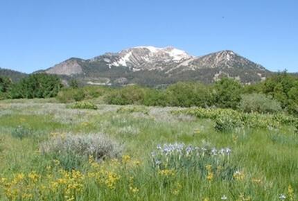 Luxury Mammoth Lodge - Mammoth Lakes, California