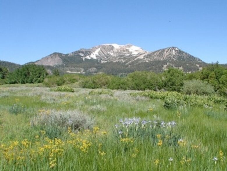 Luxury Mammoth Lodge - Mammoth Lakes, California
