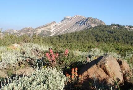 Luxury Mammoth Lodge - Mammoth Lakes, California