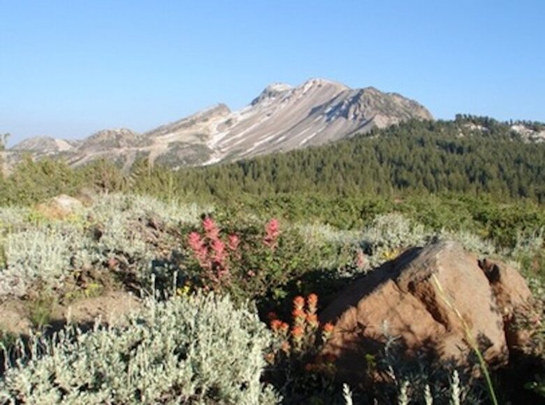Luxury Mammoth Lodge - Mammoth Lakes, California