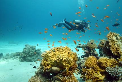 Gold Tower Luxury Flat - Abraj Al Lulu Towers, Bahrain