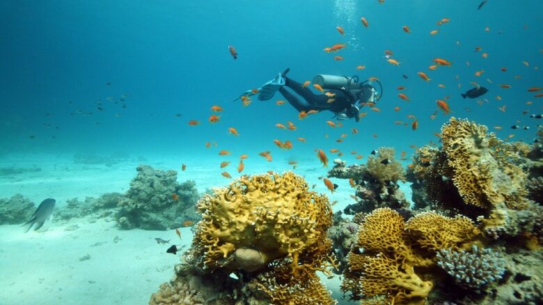 Gold Tower Luxury Flat - Abraj Al Lulu Towers, Bahrain