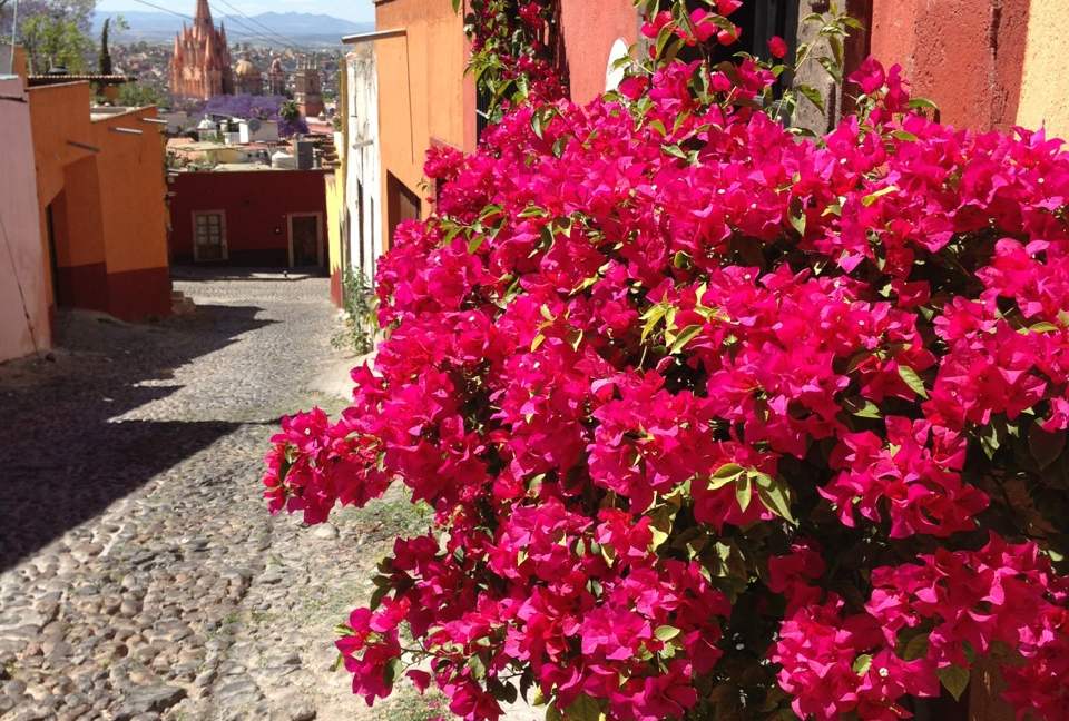 Casa Cielo - Centro Colonial Charm - San Miguel de Allende, Mexico