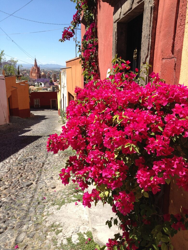 Casa Cielo - Centro Colonial Charm - San Miguel de Allende, Mexico