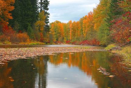 Lake Wenatchee Lodge - Leavenworth, Washington