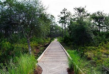 Nature Walk Seagrove Beach - 30A - Santa Rosa Beach, Florida