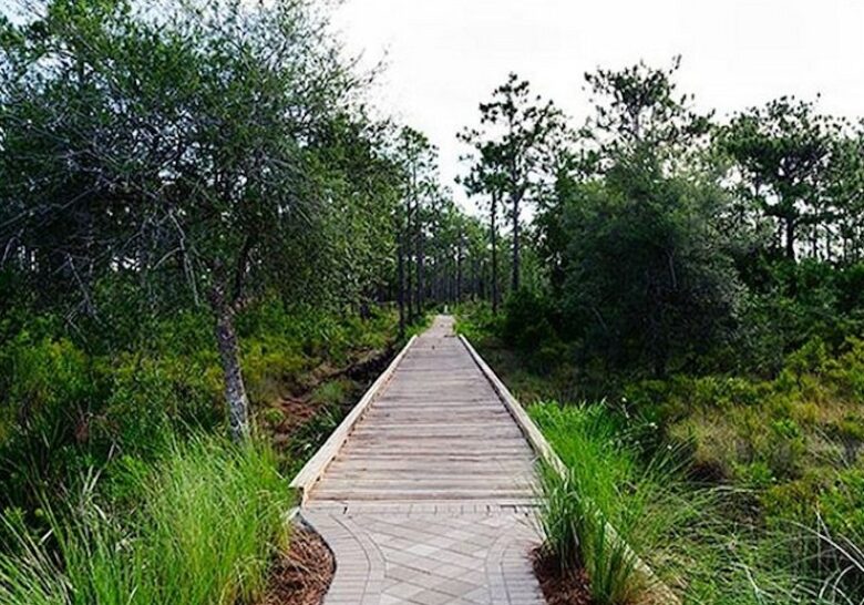 Nature Walk Seagrove Beach - 30A - Santa Rosa Beach, Florida