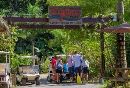 Red Frog Beach - 3 Bedroom Residence - Villa Presidential - Isla Bastimentos, Panama