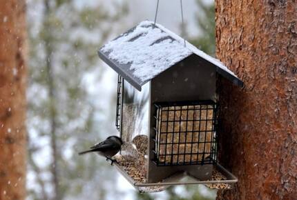 Hilltop House - Grand Lake, Colorado
