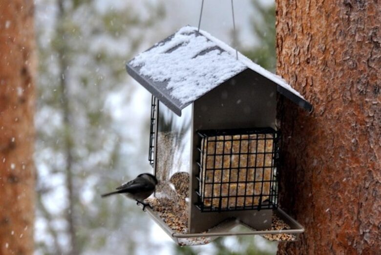 Hilltop House - Grand Lake, Colorado