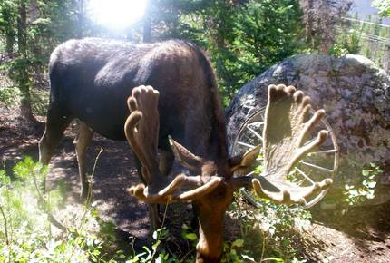 Hilltop House - Grand Lake, Colorado