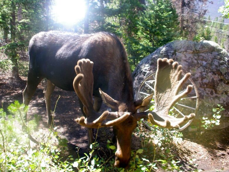 Hilltop House - Grand Lake, Colorado