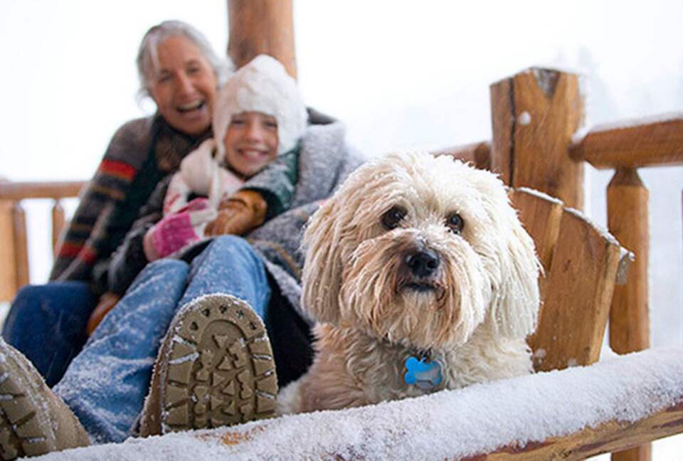 Bridger Vista Lodge - Escape to rural Montana - Bozeman, Montana