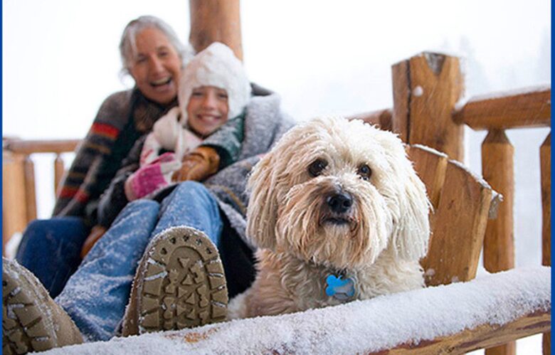 Bridger Vista Lodge - Escape to rural Montana - Bozeman, Montana