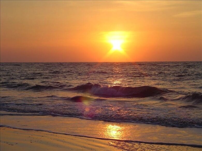 Palm Paradise Beach House - Isle of Palms, South Carolina