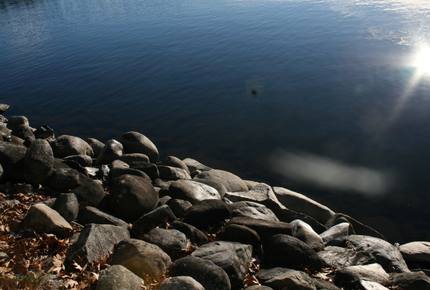 The Cottage In Moonlight Bay - Manchester, Maine