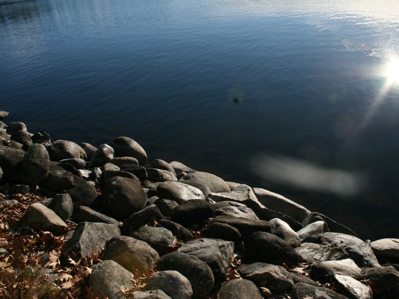 The Cottage In Moonlight Bay - Manchester, Maine