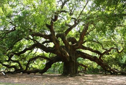 Seabrook Island Place - Seabrook Island, South Carolina