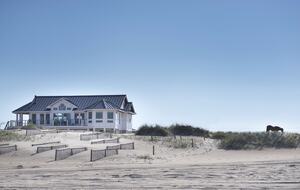 Oceanfront Home Among the Wild Horses - Outer Banks - Corolla, North Carolina