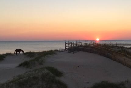 Oceanfront Home Among the Wild Horses - Outer Banks - Corolla, North Carolina