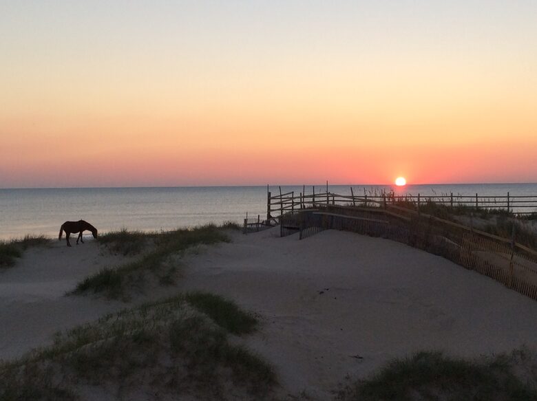 Oceanfront Home Among the Wild Horses - Outer Banks - Corolla, North Carolina